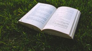 open book in a grass