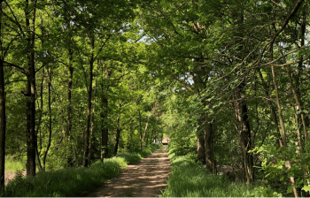 Path in the woods near toGrooa Inspiria Learning Center